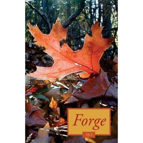 Forge 10.2 Paperback, Createspace Independent Publishing Platform
