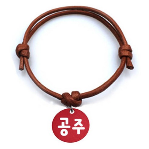 펫츠룩 굿모닝 카라멜 반려동물 목걸이 M + 알미늄원형 팬던트 M, 레드(공주), 1개