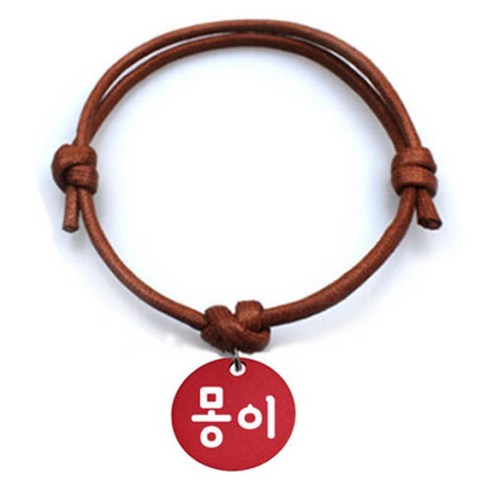 펫츠룩 굿모닝 카라멜 반려동물 목걸이 M + 알미늄원형 팬던트 M, 레드(몽이), 1개