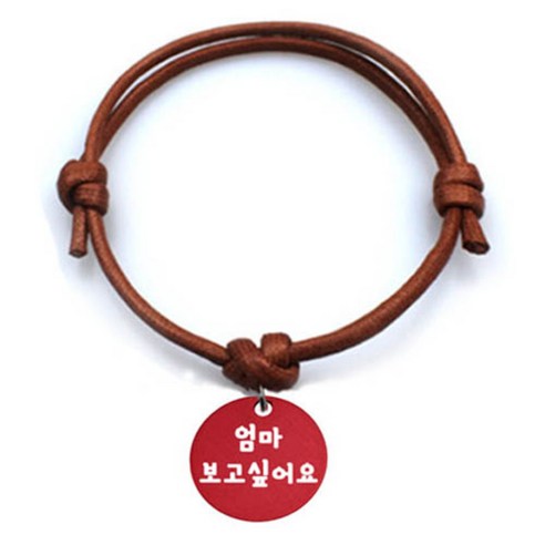 펫츠룩 굿모닝 카라멜 반려동물 목걸이 M + 알미늄원형 팬던트 M, 레드(엄마보고싶어요), 1개
