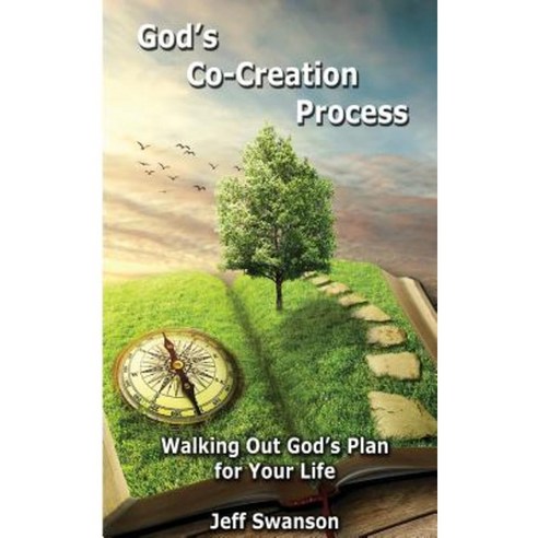God''s Co-Creation Process Paperback, Plan Bible