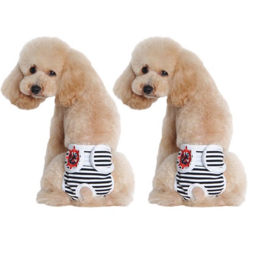 아리코 고양이&강아지 생리위생팬티 블랙, S, 2개입