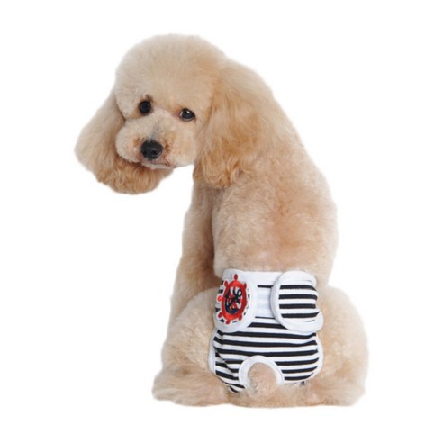 아리코 고양이&강아지 생리위생팬티 블랙, M, 1개