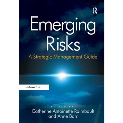 Emerging Risks: A Strategic Management Guide Hardcover, Routledge