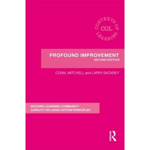 Profound Improvement: Building Capacity for a Learning Community Paperback, Routledge