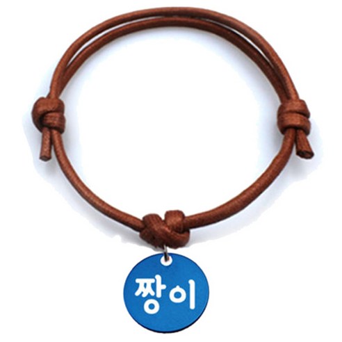 펫츠룩 굿모닝 카라멜 반려동물 목걸이 M + 알미늄원형 팬던트 S, 블루(짱이), 1개