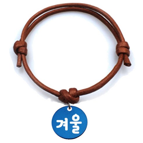 펫츠룩 굿모닝 카라멜 반려동물 목걸이 M + 알미늄원형 팬던트 S, 블루(겨울), 1개