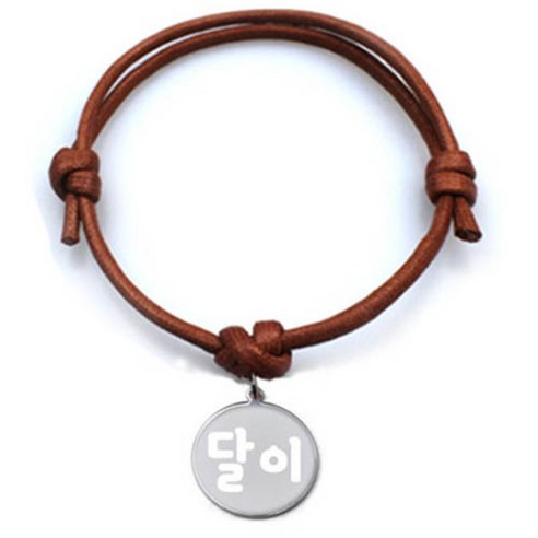 펫츠룩 굿모닝 카라멜 반려동물 목걸이 M + 메탈원형 팬던트 S, 실버(달이), 1개