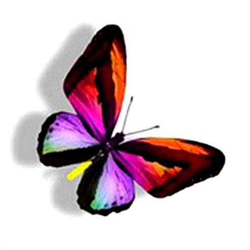 파티복닷컴 나비 웬디 타투 스티커, AC81, 1개