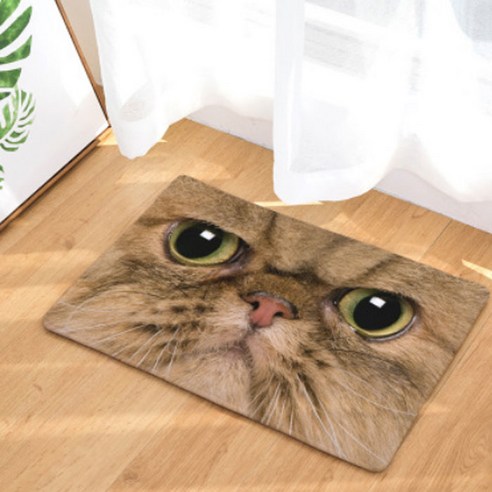 노랜드 Cat Face style 다용도 발매트, 4