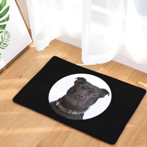 노랜드 Photo dog Style 다용도 발매트, 6