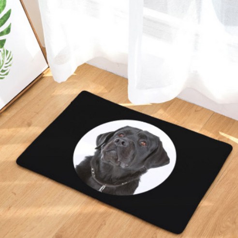 노랜드 Photo dog Style 다용도 발매트, 17