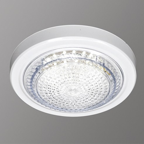 보승전기 LED 직부등 15W, 주광색