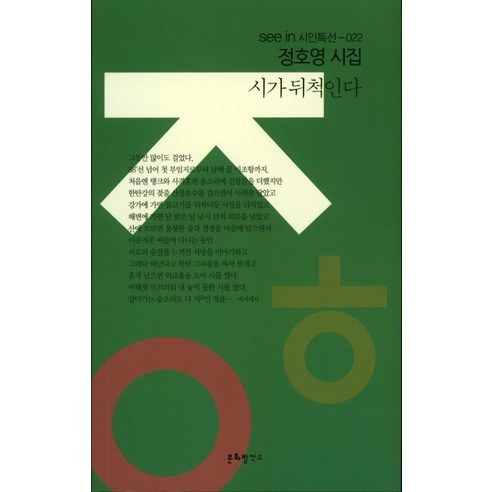 閔玧其 《詩翻騰》 鄭浩英詩集 《詩歌翻騰》 鄭浩英詩集 文化發電廠 9791187324188