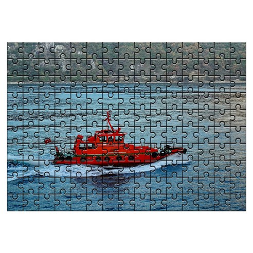 다모아 시험관 직소퍼즐, 150피스, 빨간보트