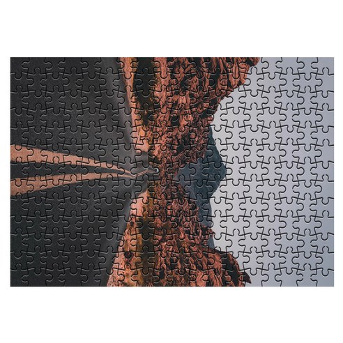 다모아 시험관 직소퍼즐, 234피스, 불의계곡