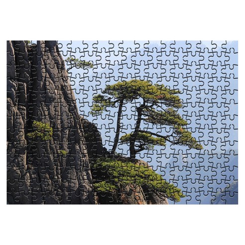 다모아 시험관 직소퍼즐, 234피스, 중국황산
