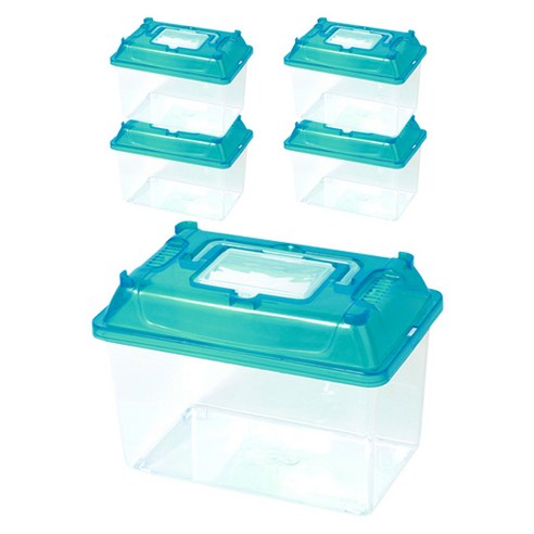 아쿠아선두 클린채집통 XL 블루, 5개