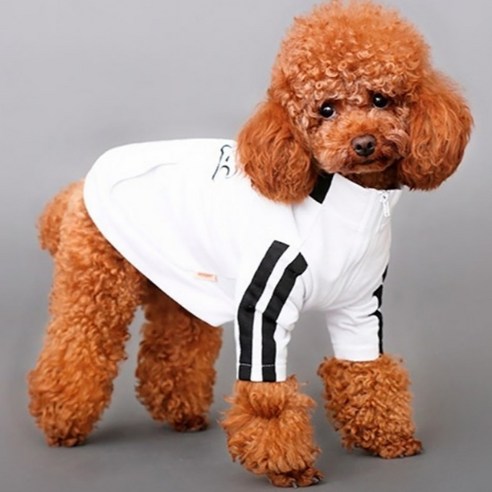 제제펫 저지스타일 애견의류, Y499PDFC001