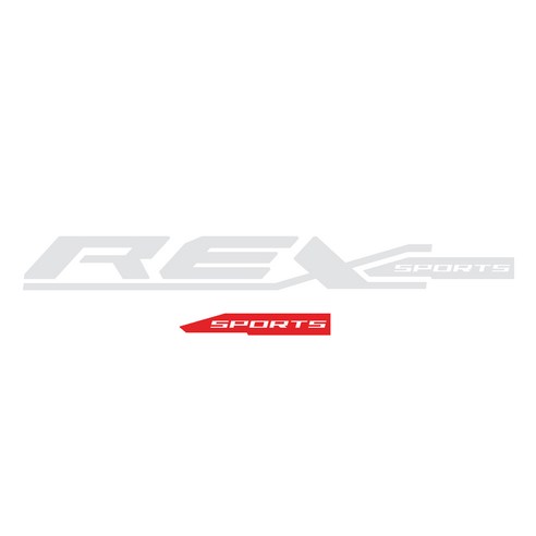그리븐 렉스턴스포츠 닉네임 REX 데칼 스티커 50cm, 브라이트그레이 + 레드, 2개입