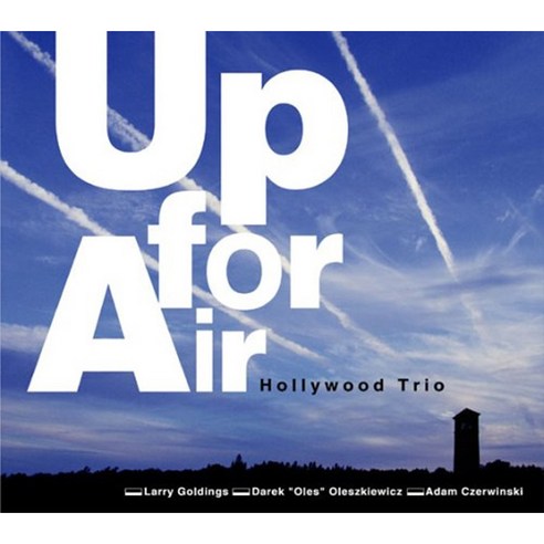 Hollywood Trio (Larry Golgings) - Up For Air 일본수입반, 1CD