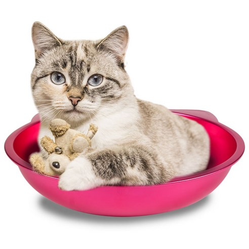 딩동펫 고양이 냄비 쿨매트, 핑크
