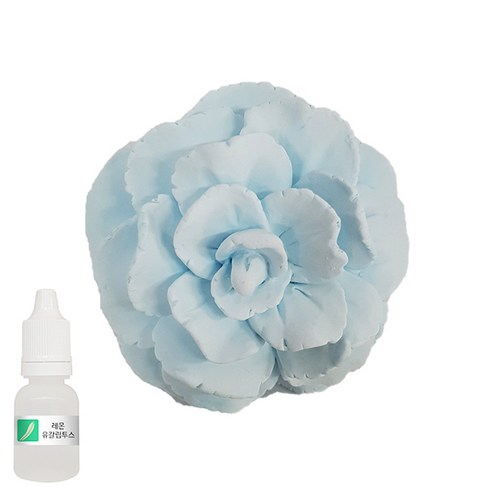 허브플러스 차량용 석고방향제 플라워 블루 + 리필오일 10ml, 유칼립투스향
