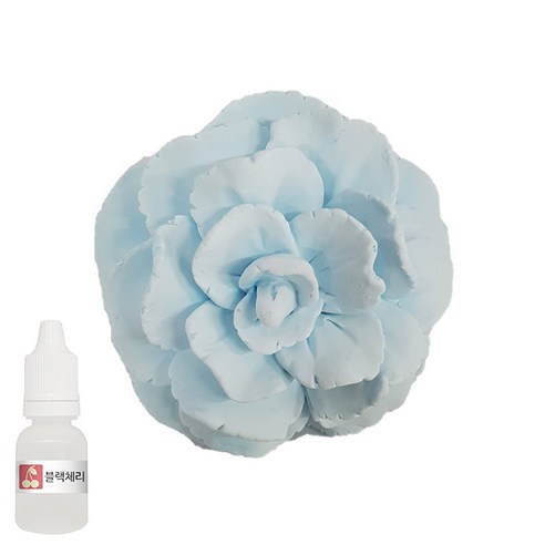 허브플러스 차량용 석고방향제 플라워 블루 + 리필오일 10ml, 블랙체리향