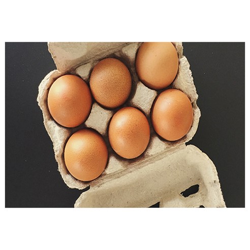 UVDS 주방 강화유리 아트보드 계란한판, 1개