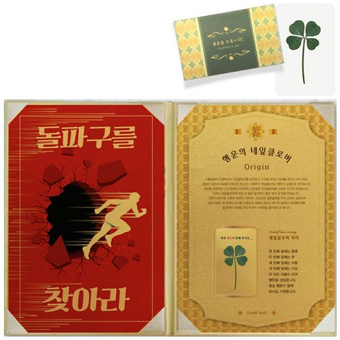럭키심볼 행운의 선물 네잎클로버 생화 수능 고급케이스A4 + 생화 코팅카드, 돌파구를 찾아라, 1세트