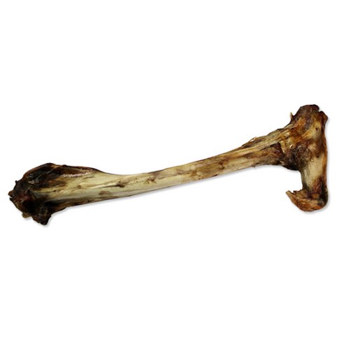 ZEAL 뉴질랜드산 강아지 수제간식, 사슴정강이뼈, 1개