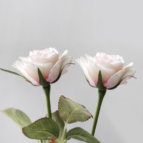 블루밍앤미 조화 섬머레이디 로즈 2p, 연핑크