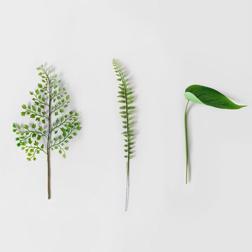 블루밍앤미 조화 미니 그린 leaf 3종 3세트, 혼합 색상, 3개