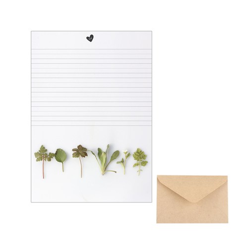 삼육오데이 디자인편지세트 편지지 20p + 봉투 10p, 어린채소, 1세트