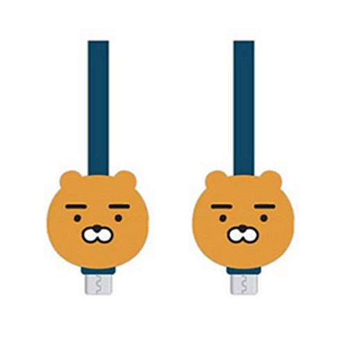 카카오프렌즈 5핀 USB 충전케이블 1m, 라이언, 2개입