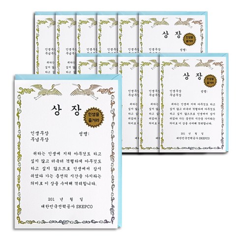 안개나라 카드 상장, 인생무상 무념무상, 12세트