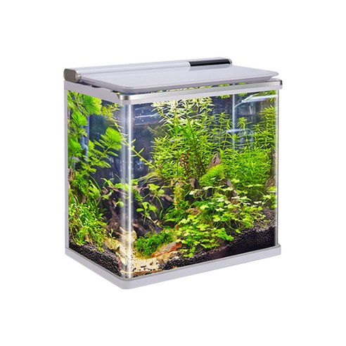 아마존 곡유리 아쿠아리움 수조 AMZ-620F, 화이트, 1개