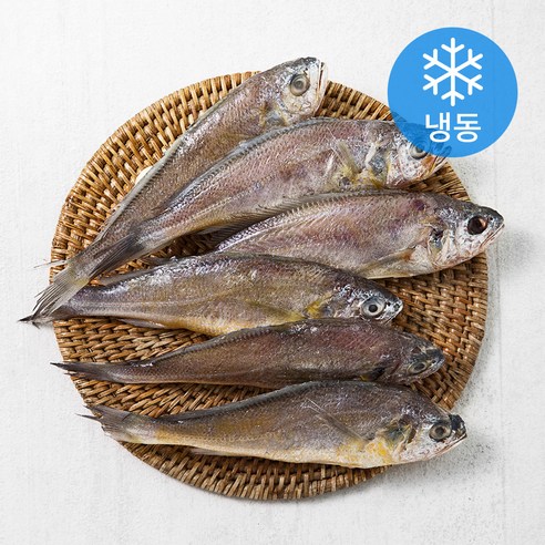 황금굴비 6미 (냉동), 550g (19~20cm 내외), 1개