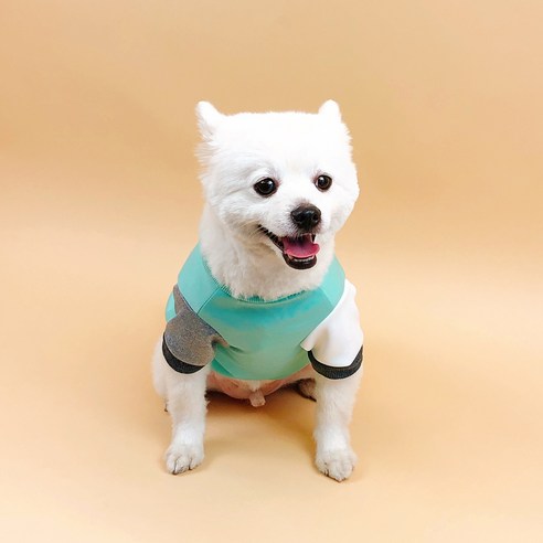 세븐펫 강아지옷 마카롱 맨투맨 티셔츠, 민트