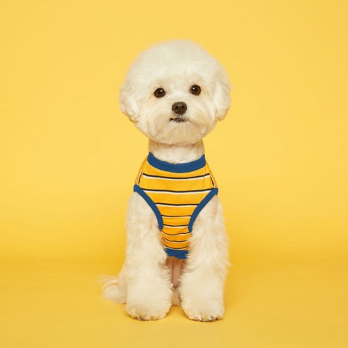 플로트 스탠다드민소매티셔츠 강아지옷, 옐로우블루
