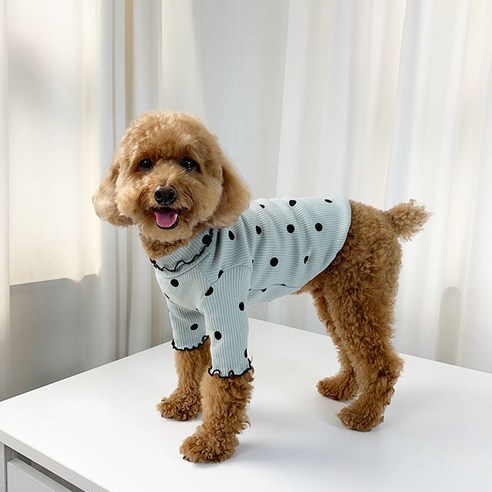 유앤펫 강아지 골지 땡땡이 티셔츠, 민트