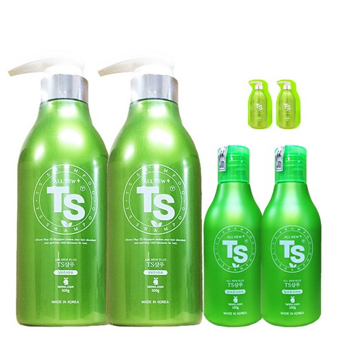 TS 올뉴플러스 샴푸 500g x 2p + 100g x 2p + 샘플 6g x 2p, 1세트