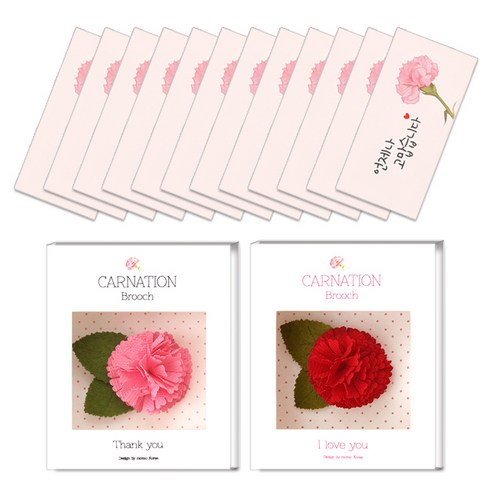 투영디자인 카네이션 브로치 2종 + 카네이션 용돈봉투 12p, 언제나 고맙습니다, 1세트