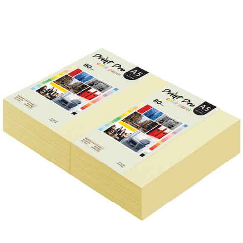 종이문화 프린트 프로 칼라 복사용지 No 01 레몬 80g, A5, 1000매