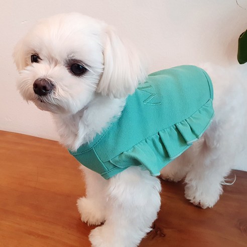 코코마펫 오색프릴크롭탑 반려동물 티셔츠, 민트