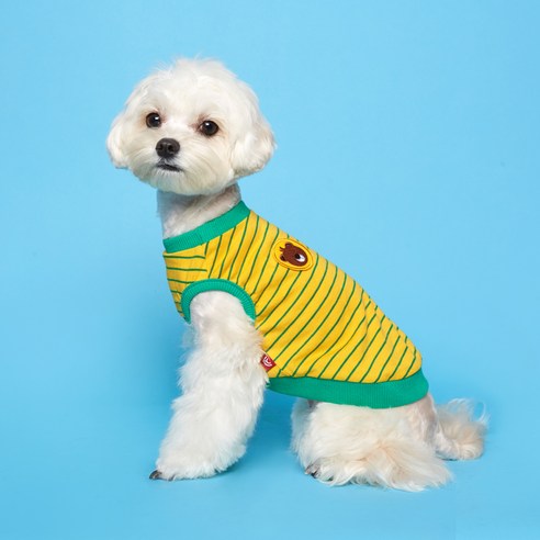 플로트 테디아일랜드 강아지 민소매 티셔츠, 옐로우