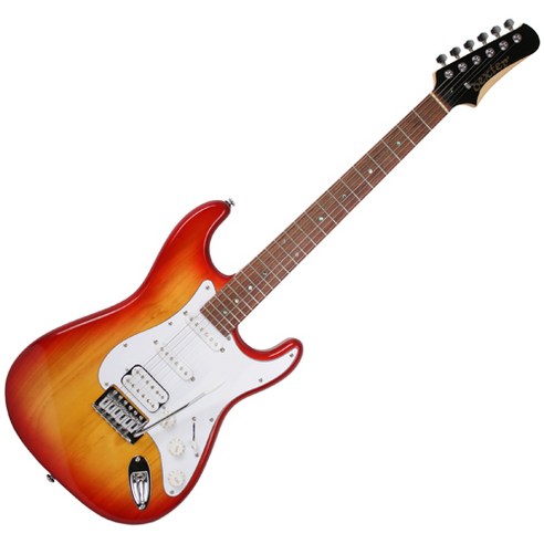 dexterGUITARS D 240 일렉 기타 + 구성품 11종, CS, 1개