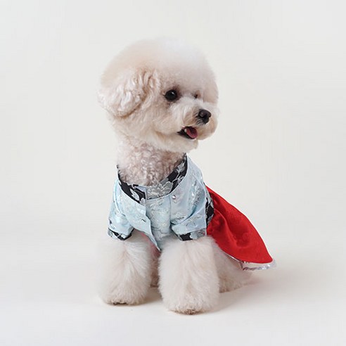 황진이 원피스 반려동물 한복, 혼합색상, 1개