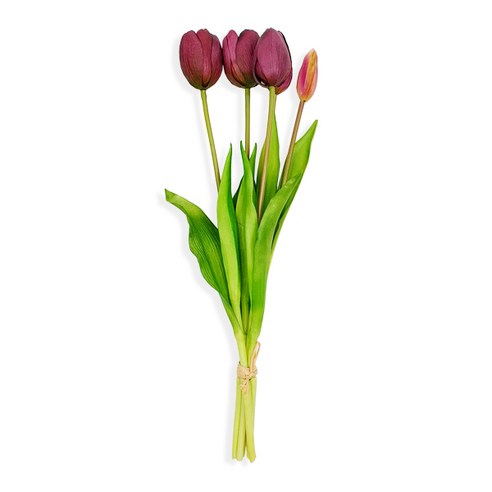 레스쁘리 조화 튜울립 A 5p, 진보라