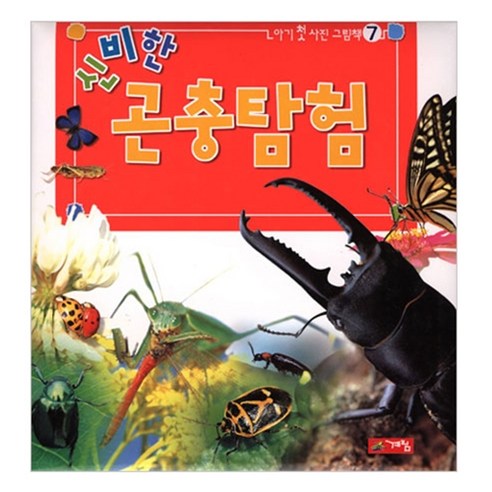 곤충 세계의 신비로운 여행, 계림북스 장수풍뎅이장난감 Best Top5 곤충 세계의 신비로운 여행, 계림북스 장수풍뎅이장난감 Best Top5